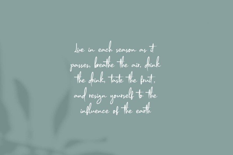 Modien Handwritten Font preview image 2