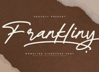 Frankliny – Monoline Signature Font
