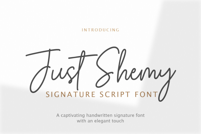 Dear Someone Script Font  Signature fonts, Script fonts, Beautiful script  fonts