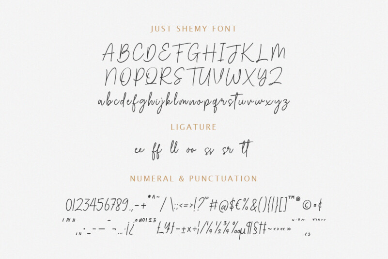 Wild Heart // Lovely Script Font  Handwriting Fonts ~ Creative Market