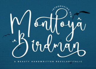 Monttoya Birdman Font