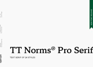 TT Norms® Pro Serif Font