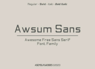 Awsum Sans Font