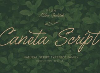 Caneta Script Font