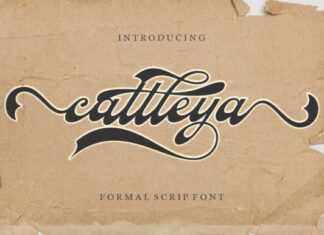 The Chaviera pro font is perfect for various projects like logos &  branding, invitations, stationery, wedding designs, social media posts…