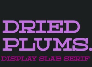 Dried Plums Font