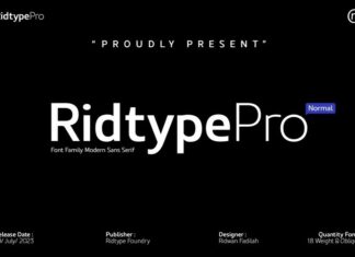 Ridtype Pro Font
