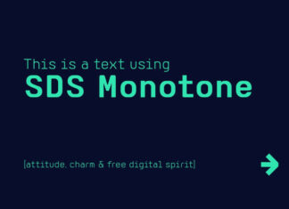 SDS Monotone Font