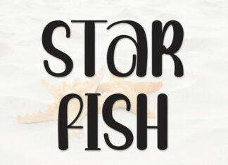 Star Fish Display Font