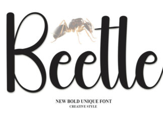Beetle Script Font