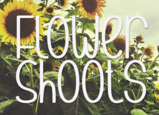 Flower Shoots Display Font