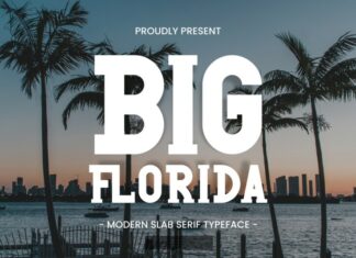 Big Florida Font