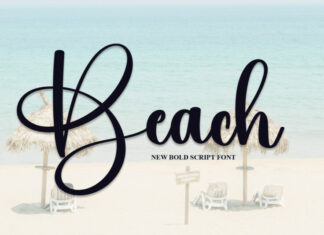 Beach Script Typeface