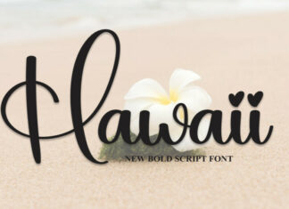 Hawaii Script Font