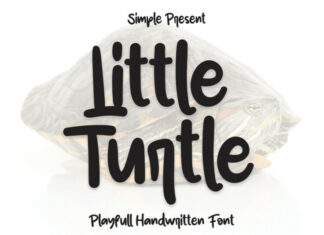 Little Turtle Display Font