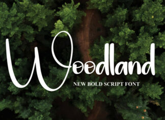 Woodland Script Font