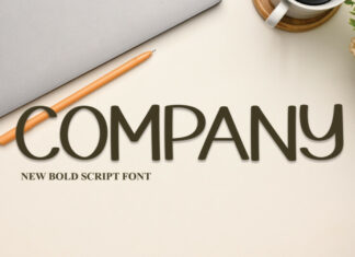 Company Display Font