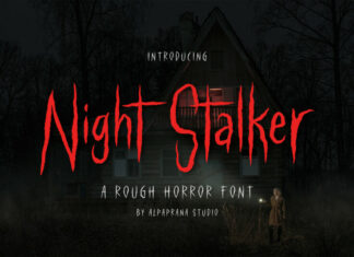 Night Stalker Script Font