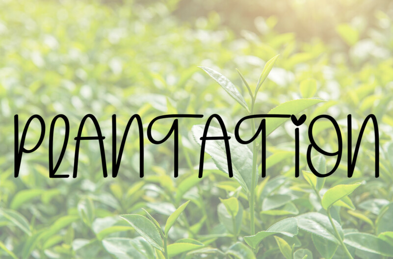 Traveling Time Display Font Download Free Font