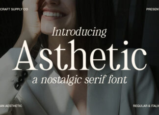 Asthetic Font