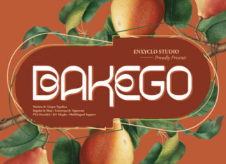 Bakego Font
