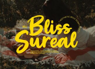 NCL Bliss Sureal Font