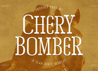 Chery Bomber Display Font