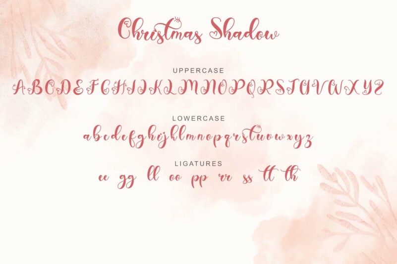 When Modern Meet Vintage Font Bundle – MasterBundles