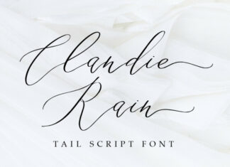 Clandie Rain Script Font