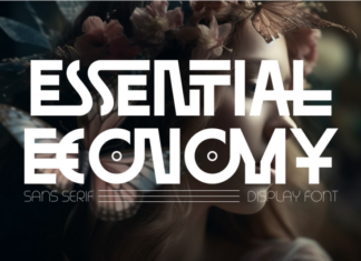 Essential Economy Font