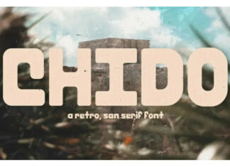 Chido Font