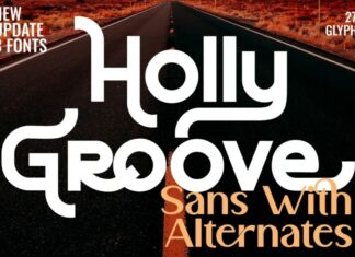 Holly Groove Font