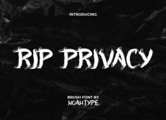 RIP Privacy Font