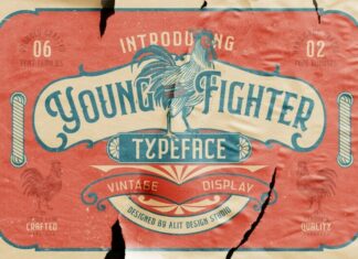 Young Fighter Font