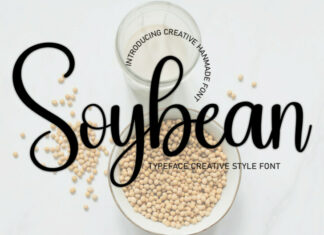 Soybean Script Font