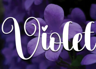 Violet Script Font