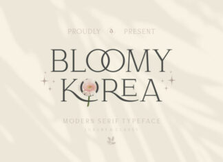 Bloomy Korea Font