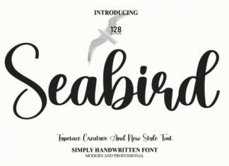 Seabird Script Font