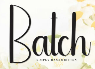 Batch Script Font