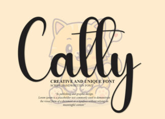 Catty Script Font