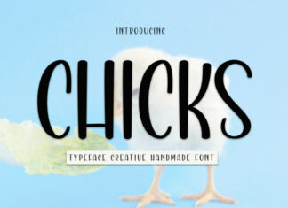 Chicks Display Font