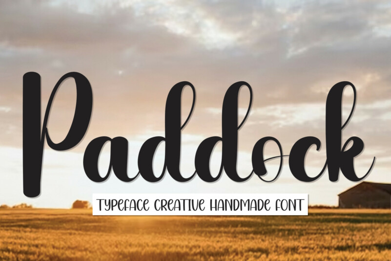Paddock Script Font