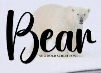 Bear Script Font