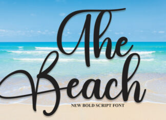 The Beach Script Typeface