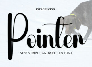 Pointer Script Font