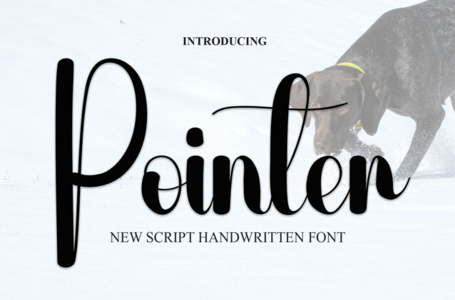 Pointer Script Font