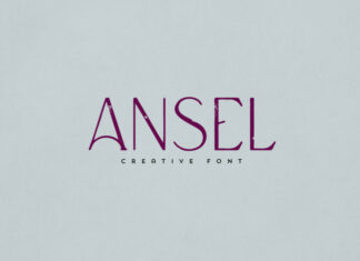 Ansel Font