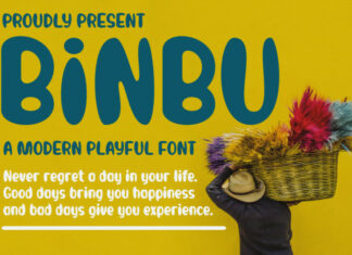 Binbu Display Font