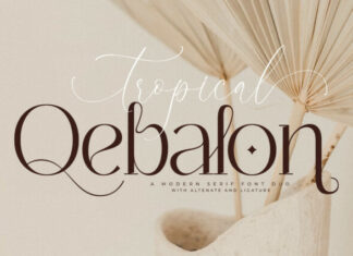 Tropical Qebalon Font