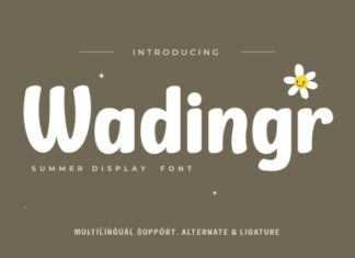 Wadingr Display Font